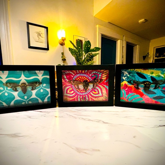 Blue Cicada Set - Picture 1 of 4